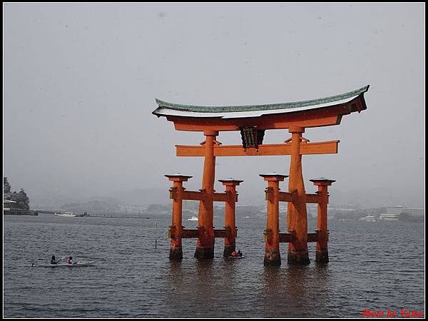 日本day2-宮島嚴島神社大鳥居0011.jpg