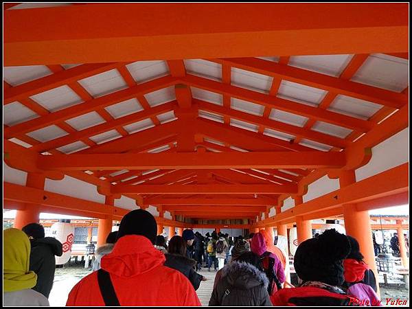 日本day2-宮島嚴島神社大鳥居0024.jpg