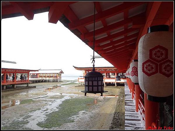 日本day2-宮島嚴島神社大鳥居0026.jpg