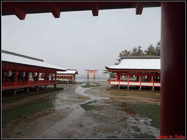 日本day2-宮島嚴島神社大鳥居0027.jpg