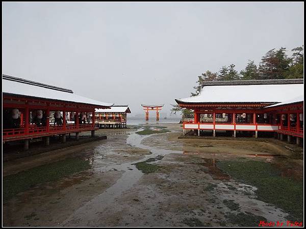 日本day2-宮島嚴島神社大鳥居0028.jpg