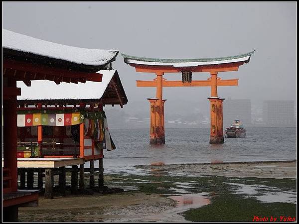 日本day2-宮島嚴島神社大鳥居0030.jpg