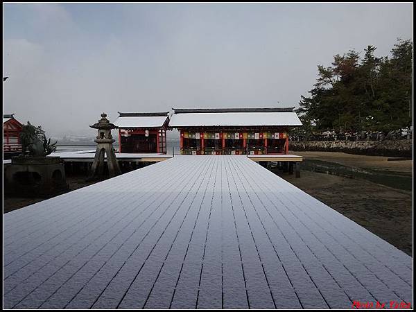 日本day2-宮島嚴島神社大鳥居0032.jpg