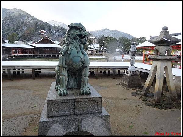 日本day2-宮島嚴島神社大鳥居0036.jpg