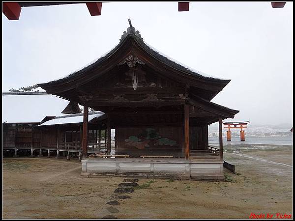 日本day2-宮島嚴島神社大鳥居0049.jpg