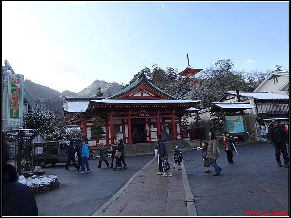 日本day2-宮島嚴島神社大鳥居0059.jpg