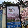 新竹公園賞櫻003.jpg