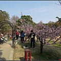 新竹公園賞櫻116.jpg