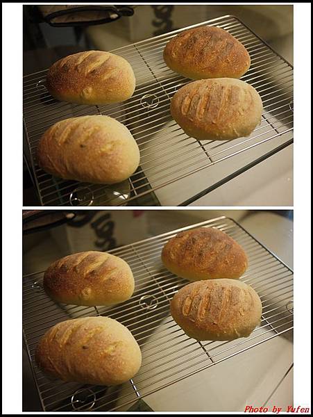 法國麵包03.jpg