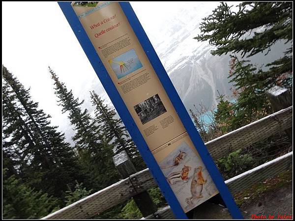 玩美加族-加拿大dayday3-3鴉爪冰河弓湖佩多湖0028.jpg