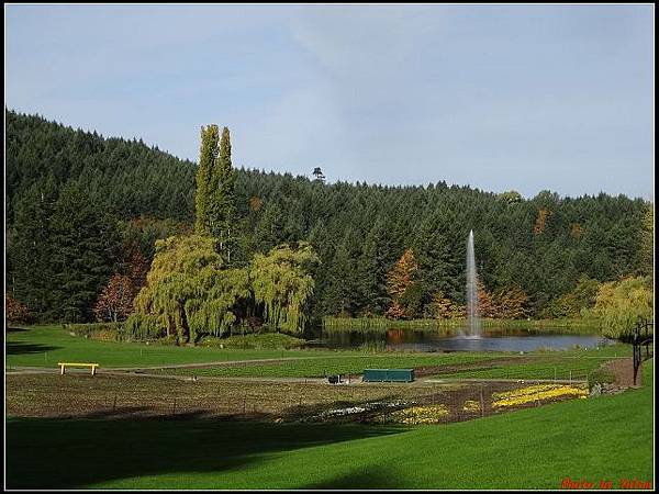 玩美加族-加拿大day7-3布查花園0102(001).jpg