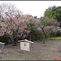 日本-四國之旅day2-3栗林公園045.jpg