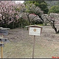 日本-四國之旅day2-3栗林公園046.jpg