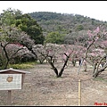 日本-四國之旅day2-3栗林公園047.jpg