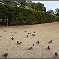 日本-四國之旅day2-3栗林公園054.jpg