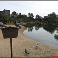 日本-四國之旅day2-3栗林公園058.jpg