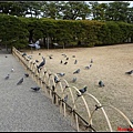 日本-四國之旅day2-3栗林公園060.jpg