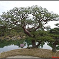 日本-四國之旅day2-3栗林公園066.jpg