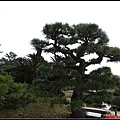 日本-四國之旅day2-3栗林公園096.jpg