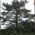 日本-四國之旅day2-3栗林公園113.jpg