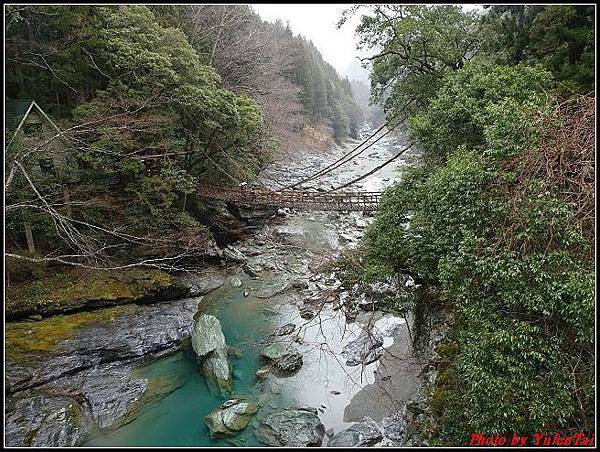 日本-四國之旅day3-2蔓藤橋014.jpg