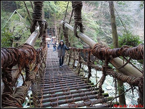 日本-四國之旅day3-2蔓藤橋055.jpg