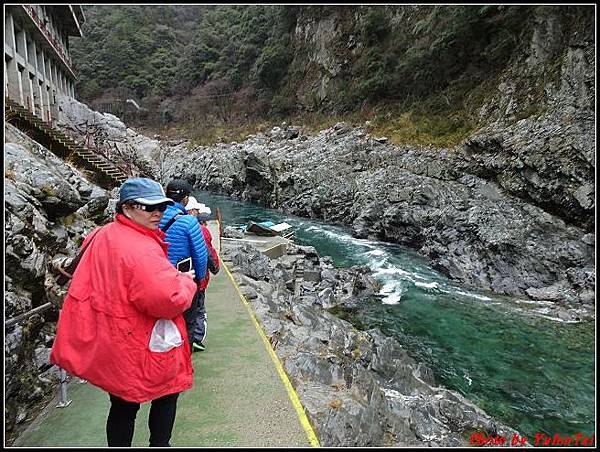 日本-四國之旅day3--3大小步危峽谷遊覽船016.jpg