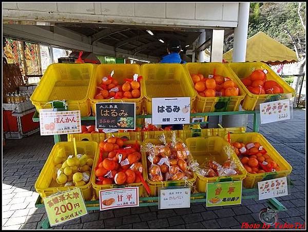 日本-四國之旅day4-3瀨戶內海比目魚海鮮套餐110.jpg