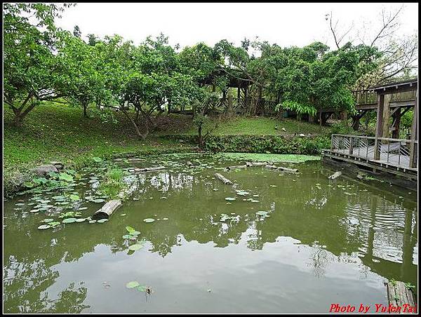 05.羅東運動公園093.jpg