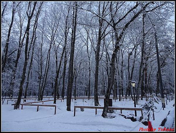 day3-8 輕井澤雪景0022.jpg