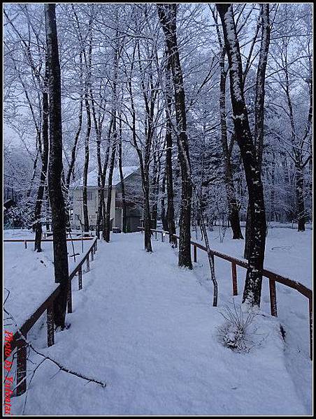 day3-8 輕井澤雪景0043.jpg