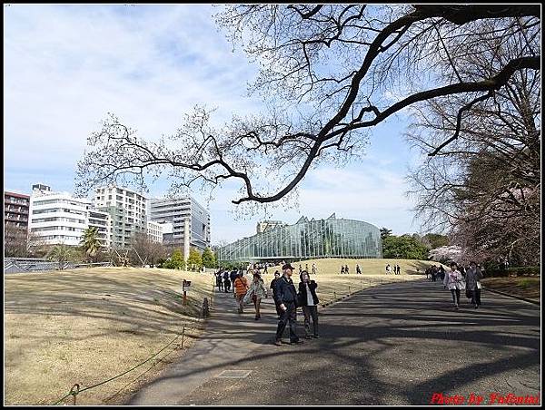 day5-6 新宿御苑0263.jpg