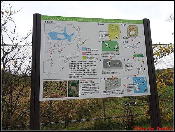 北海道day2-4 丹頂鶴自然公園026.jpg