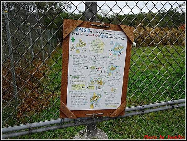 北海道day2-4 丹頂鶴自然公園056.jpg