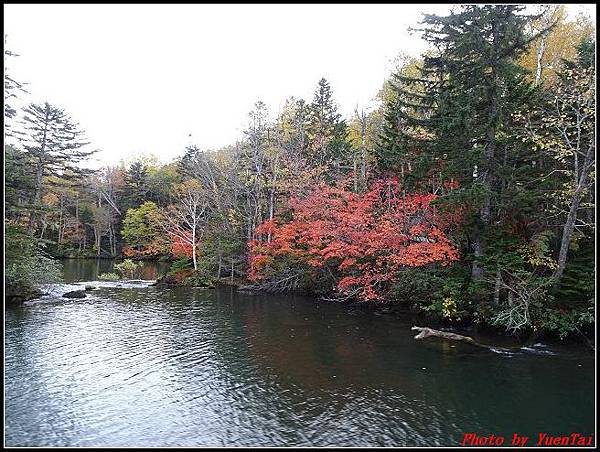 北海道day2-6 阿寒湖遊船066.jpg