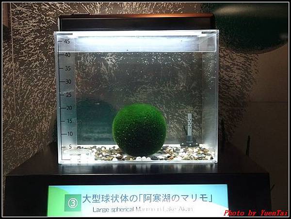 北海道day2-6 阿寒湖遊船149.jpg