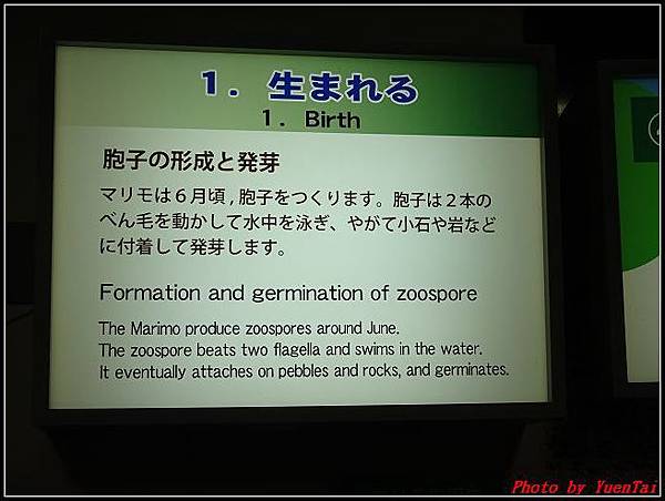 北海道day2-6 阿寒湖遊船159.jpg