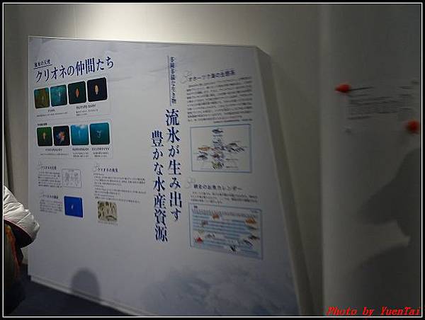 北海day3-6  天都山流冰館+展望台016.jpg