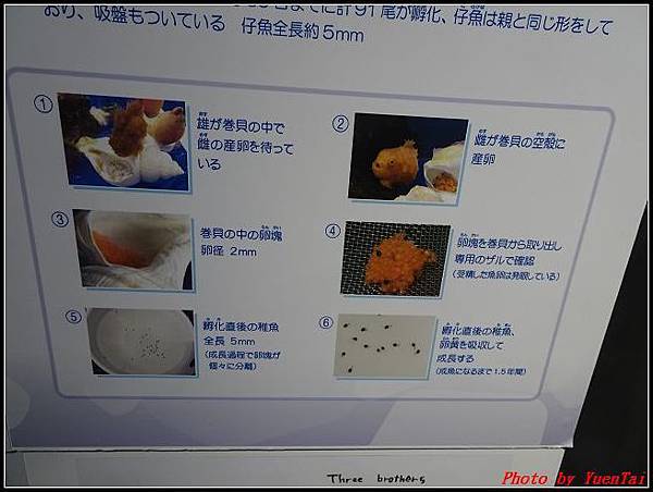 北海day3-6  天都山流冰館+展望台061.jpg