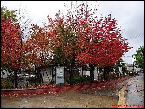 北海day4-6 小樽運河087.jpg