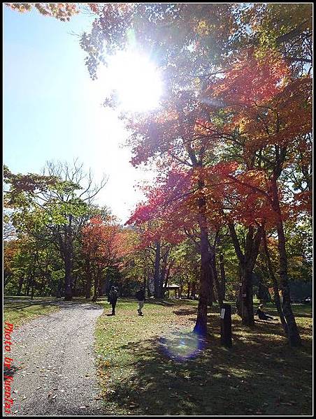 北海道day5-2 支笏湖101.jpg