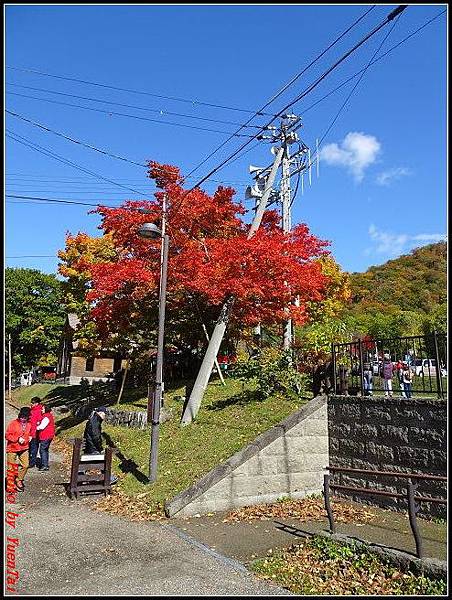 北海道day5-2 支笏湖127.jpg