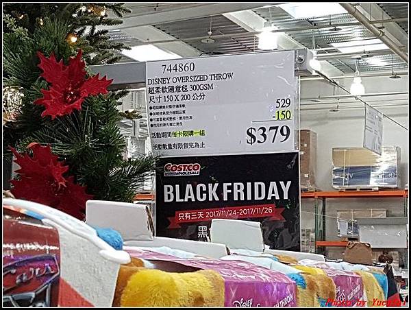 Costco Black Friday029.jpg