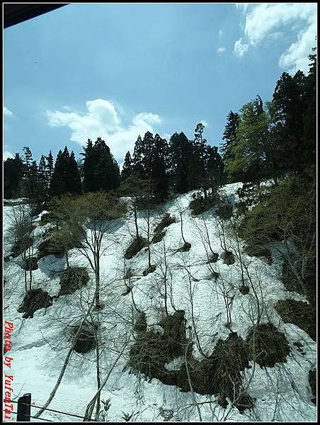 能登加賀屋day2-2 立山黑部158.jpg