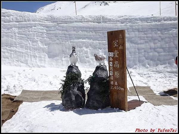 能登加賀屋day2-2 立山黑部254.jpg