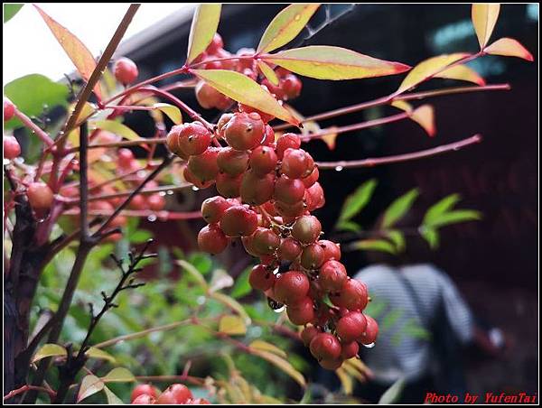 義大利day6-2 佛羅倫斯Firenze000002.jpg