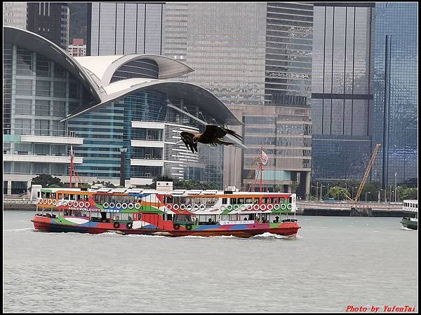 香港DAY2-2尖沙咀半日遊0101.jpg