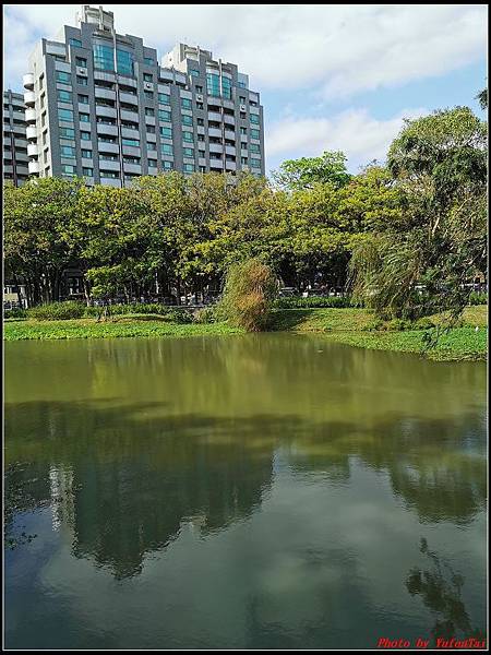 麗池公園櫻花汀甫圳賞櫻步道013.jpg