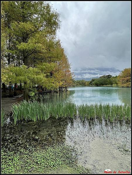 花蓮雲山水0049.jpg