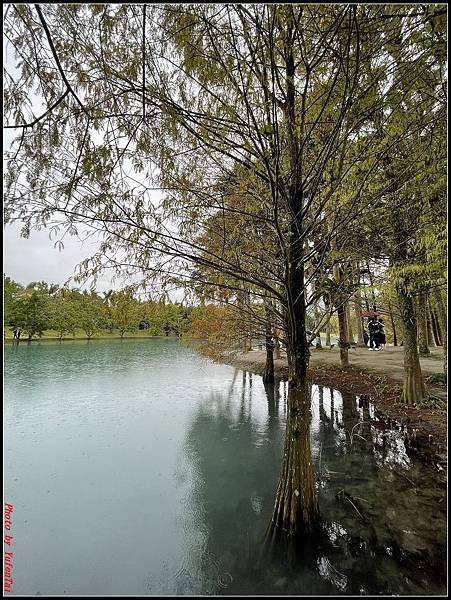 花蓮雲山水0081.jpg